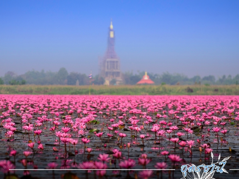 รถตู้วีไอพีให้เช่าพร้อมคนขับ อุดรธานี รถตู้วีไอพีให้เช่าพร้อมคนขับ อุดรธานี